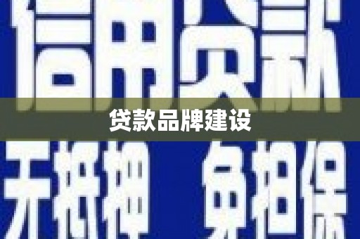 龙沙贷款品牌建设