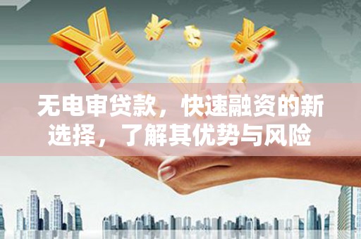 龙沙无电审贷款，快速融资的新选择，了解其优势与风险