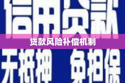 龙沙贷款风险补偿机制