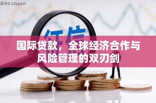 龙沙国际贷款，全球经济合作与风险管理的双刃剑