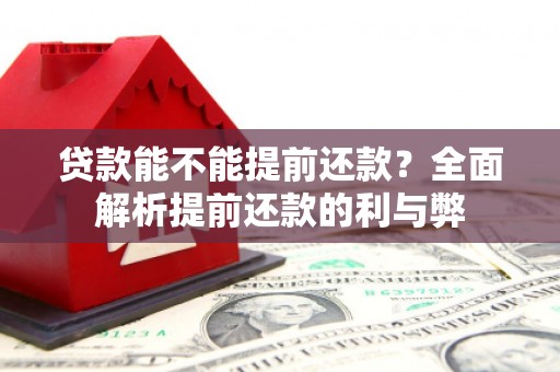 龙沙贷款能不能提前还款？全面解析提前还款的利与弊