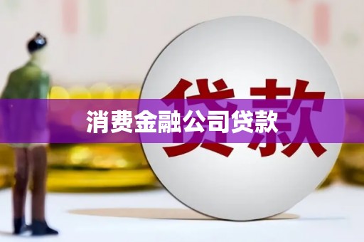 龙沙消费金融公司贷款
