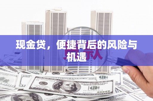 龙沙现金贷，便捷背后的风险与机遇
