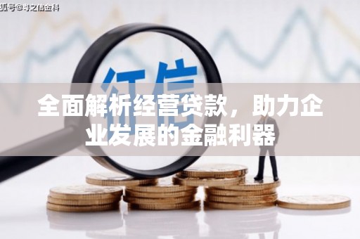 龙沙全面解析经营贷款，助力企业发展的金融利器