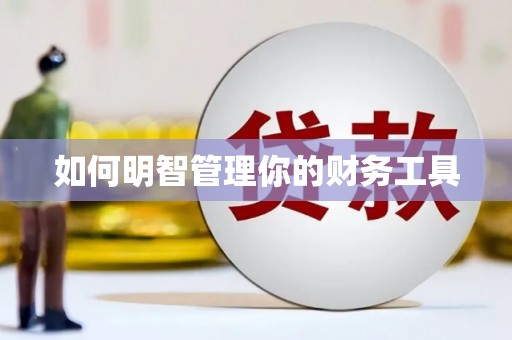 龙沙如何明智管理你的财务工具