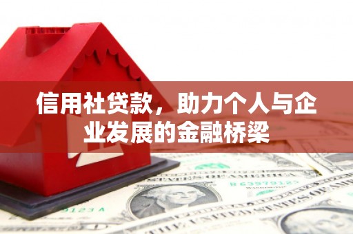 龙沙信用社贷款，助力个人与企业发展的金融桥梁