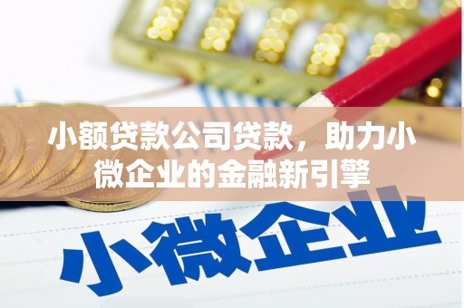 龙沙小额贷款公司贷款，助力小微企业的金融新引擎