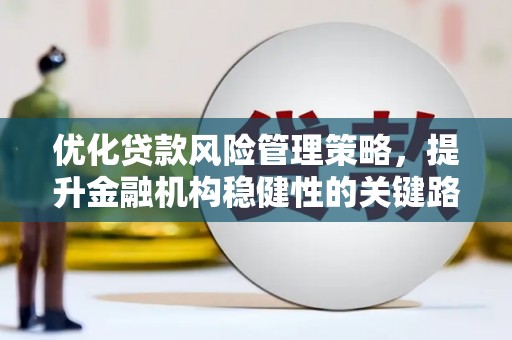 龙沙优化贷款风险管理策略，提升金融机构稳健性的关键路径