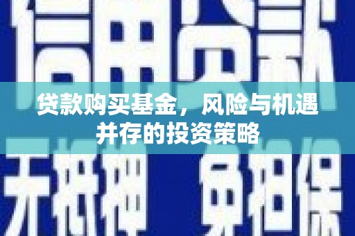 龙沙贷款购买基金，风险与机遇并存的投资策略