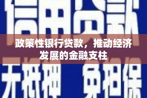 龙沙政策性银行贷款，推动经济发展的金融支柱