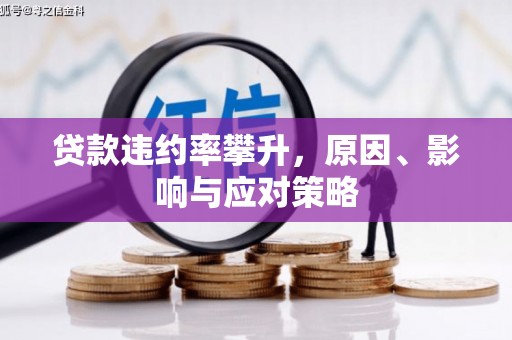 龙沙贷款违约率攀升，原因、影响与应对策略