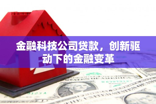 龙沙金融科技公司贷款，创新驱动下的金融变革