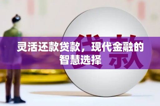龙沙灵活还款贷款，现代金融的智慧选择
