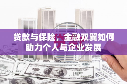 龙沙贷款与保险，金融双翼如何助力个人与企业发展