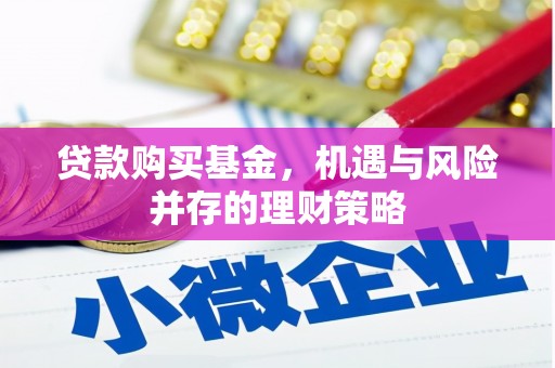 龙沙贷款购买基金，机遇与风险并存的理财策略