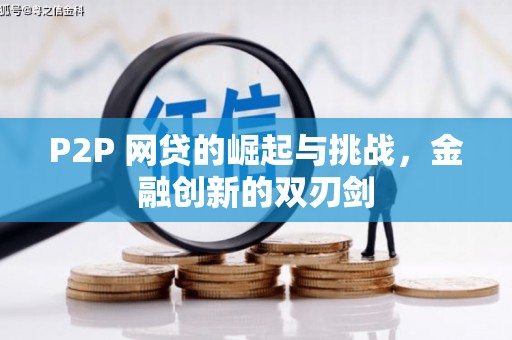 龙沙P2P 网贷的崛起与挑战，金融创新的双刃剑