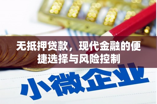 龙沙无抵押贷款，现代金融的便捷选择与风险控制