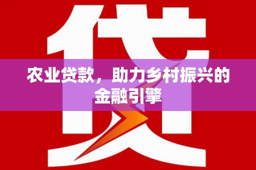 龙沙农业贷款，助力乡村振兴的金融引擎