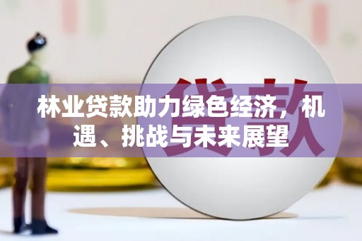 龙沙林业贷款助力绿色经济，机遇、挑战与未来展望