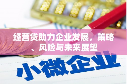 龙沙经营贷助力企业发展，策略、风险与未来展望