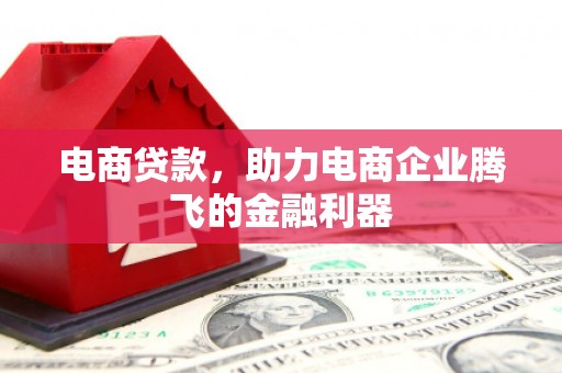 龙沙电商贷款，助力电商企业腾飞的金融利器
