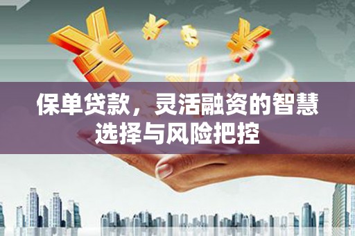 龙沙保单贷款，灵活融资的智慧选择与风险把控