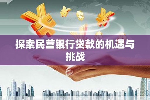龙沙探索民营银行贷款的机遇与挑战