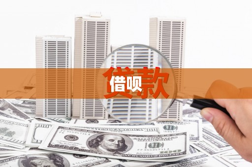 龙沙借呗