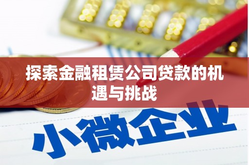 龙沙探索金融租赁公司贷款的机遇与挑战