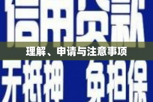 龙沙理解、申请与注意事项