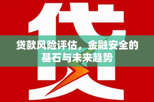 龙沙贷款风险评估，金融安全的基石与未来趋势
