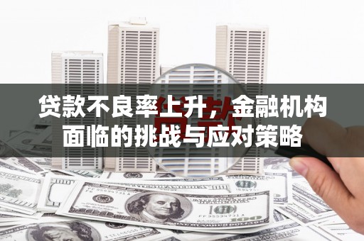 龙沙贷款不良率上升，金融机构面临的挑战与应对策略