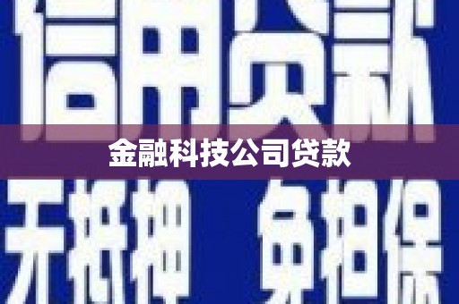 龙沙金融科技公司贷款