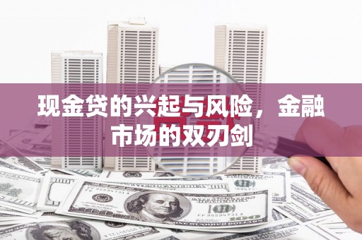 龙沙现金贷的兴起与风险，金融市场的双刃剑