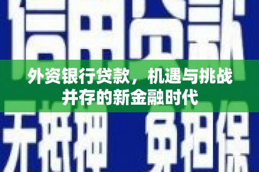 龙沙外资银行贷款，机遇与挑战并存的新金融时代