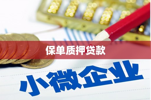 龙沙保单质押贷款