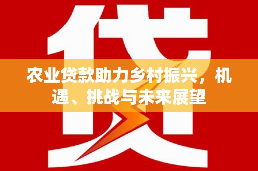 龙沙农业贷款助力乡村振兴，机遇、挑战与未来展望