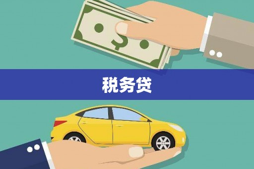龙沙税务贷