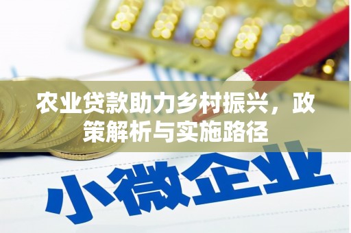 龙沙农业贷款助力乡村振兴，政策解析与实施路径