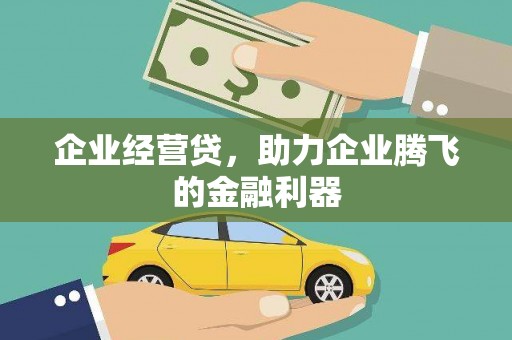 龙沙企业经营贷，助力企业腾飞的金融利器