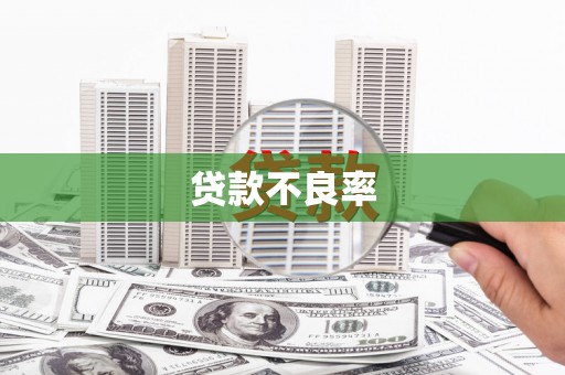 龙沙贷款不良率