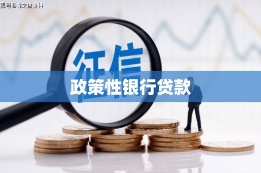 龙沙政策性银行贷款