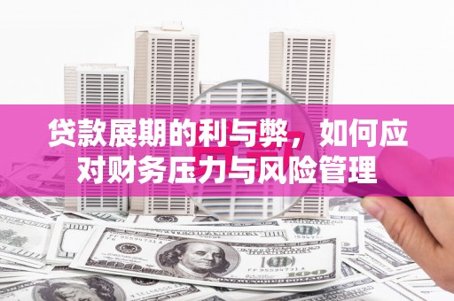 龙沙贷款展期的利与弊，如何应对财务压力与风险管理