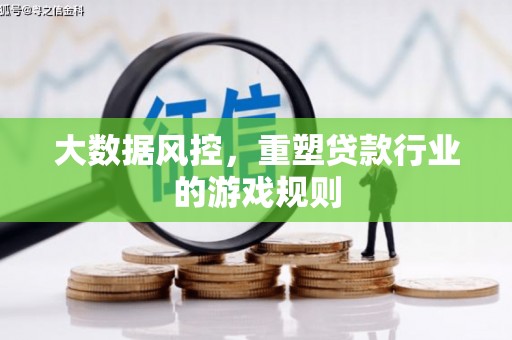 龙沙大数据风控，重塑贷款行业的游戏规则