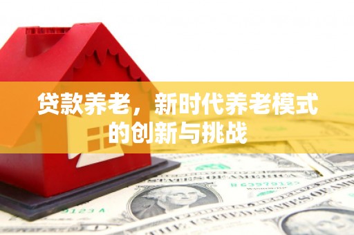 龙沙贷款养老，新时代养老模式的创新与挑战