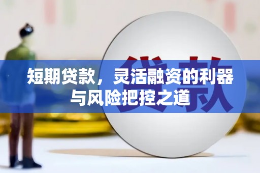 龙沙短期贷款，灵活融资的利器与风险把控之道