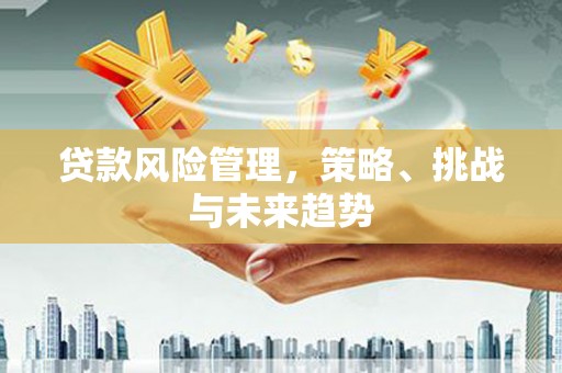 龙沙贷款风险管理，策略、挑战与未来趋势