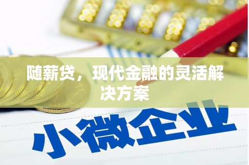 龙沙随薪贷，现代金融的灵活解决方案