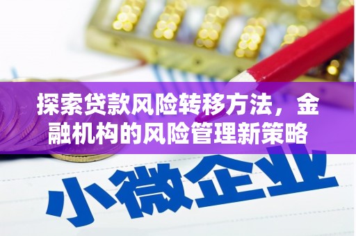 龙沙探索贷款风险转移方法，金融机构的风险管理新策略