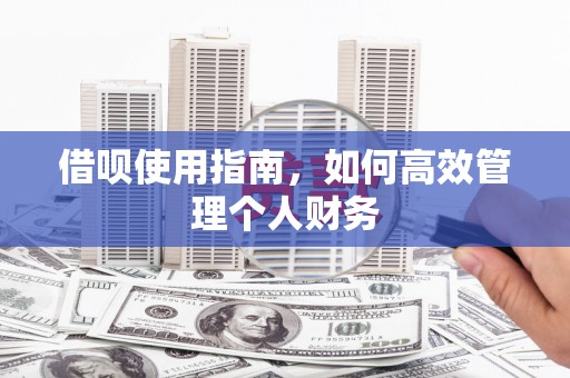 龙沙借呗使用指南，如何高效管理个人财务